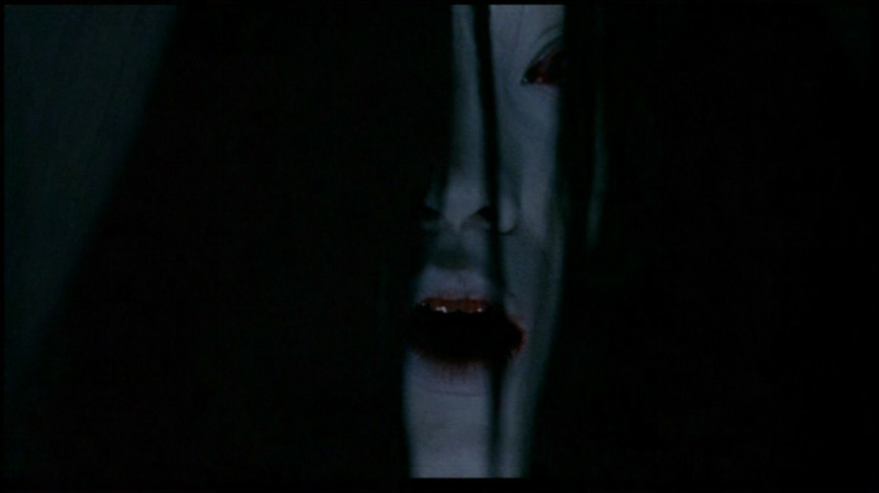 A Tale of Two Sisters Blu-ray - Soo-jung Lim